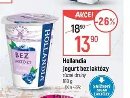 Globus Hollandia Jogurt bez laktózy nabídka