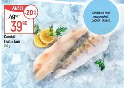 Globus Candát filet s kůží nabídka