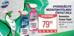Globus Domestos Power Foam nabídka