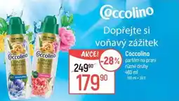 Globus Coccolino parfém na prani nabídka