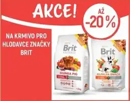 Globus Na krmivo pro hlodavce značky brit nabídka