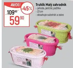 Globus Truhlík Malý zahradník nabídka