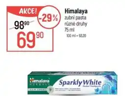 Globus Himalaya zubní pasta nabídka