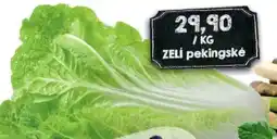 Jip Zelí pekingské nabídka