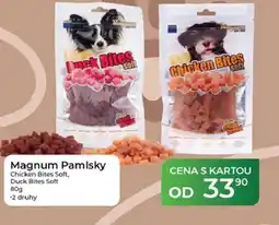 Tamda Foods Magnum Pamlsky nabídka