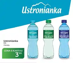Tamda Foods Ustronianka nabídka