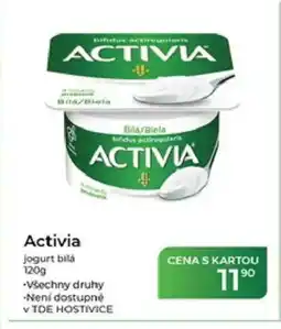 Tamda Foods Activia jogurt bilá nabídka
