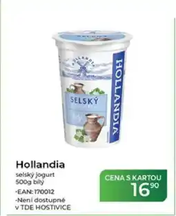 Tamda Foods Hollandia selský jogurt nabídka