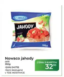 Tamda Foods Nowaco jahody celé nabídka