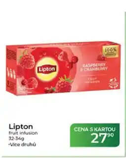 Tamda Foods Lipton fruit infusion nabídka