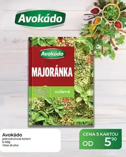 Tamda Foods Avokádo jednodruhové koření nabídka