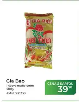 Tamda Foods Gia Bao Rýžové nudle 4mm nabídka