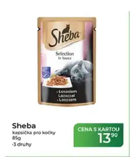 Tamda Foods Sheba kapsička pro kočky nabídka