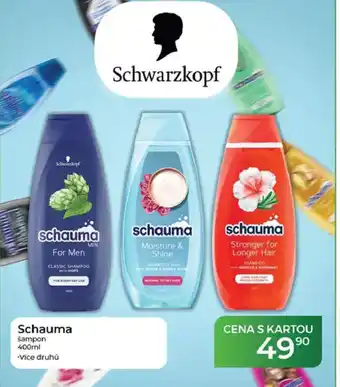 Tamda Foods Schauma šampon nabídka