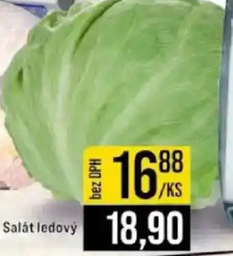 Salát ledový