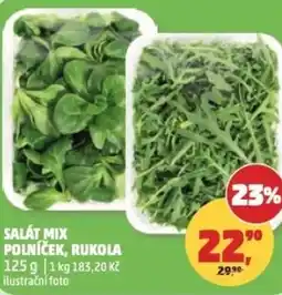 Penny Market Salát mix polníček, rukola nabídka