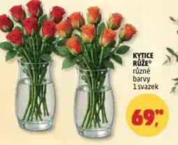 Penny Market Kytice růže nabídka