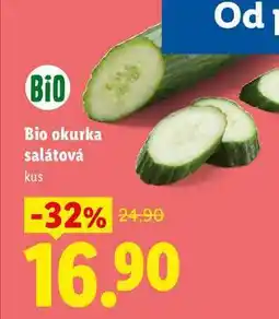 Lidl Bio okurka salátová, 1 ks nabídka