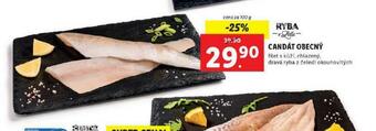 Lidl Candát obecný nabídka