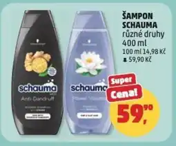 Penny Market Šampon Schauma nabídka