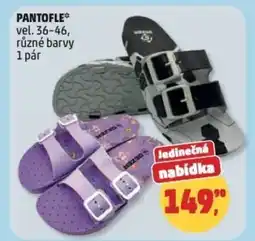Penny Market Pantofle nabídka