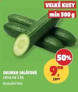 Penny Market Okurka salátová nabídka