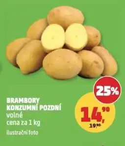 Penny Market Brambory konzumní pozdní nabídka