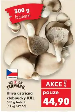 Kaufland Hlíva ústřičná kloboučky XXL nabídka