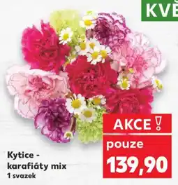 Kaufland Kytice - karafiáty mix nabídka