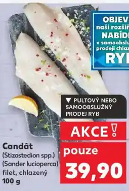 Kaufland Candát nabídka