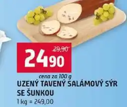 Terno UZENÝ TAVENÝ SALÁMOVÝ SÝR SE ŠUNKOU nabídka