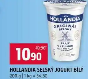 Terno HOLLANDIA SELSKÝ JOGURT BÍLÝ nabídka