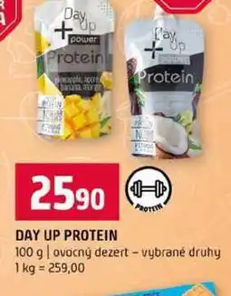 Terno DAY UP PROTEIN 100 g ovocný dezert vybrané druhy nabídka