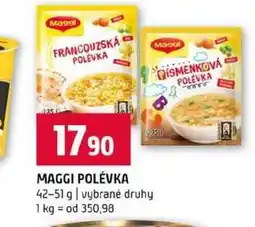 Terno MAGGI POLÉVKA B 42-51 g vybrané druhy nabídka