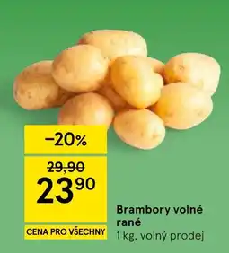 Tesco Brambory volné rané nabídka