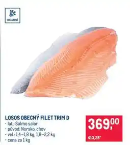 Makro Losos obecný filet trim D nabídka