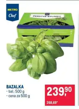 Makro Bazalka nabídka