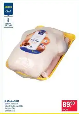 Makro MLADÁ KACHNA nabídka