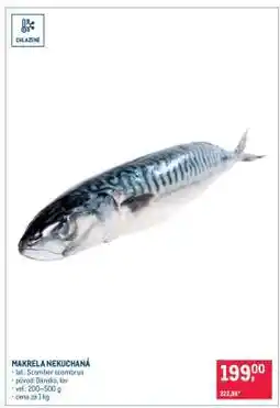 Makro Makrela nekuchaná nabídka
