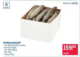 Makro PSTRUH KUCHANÝ nabídka