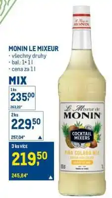 Makro MONIN LE MIXEUR nabídka
