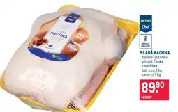 Makro MLADÁ KACHNA nabídka