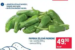Makro PAPRIKA ZELENÁ PADRONE nabídka