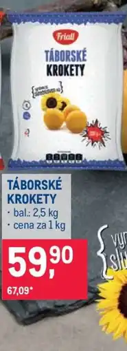 Makro Táborské krokety nabídka