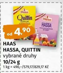 Terno HAAS HASSA, QUITTIN nabídka