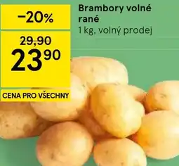 Tesco Brambory volné rané nabídka