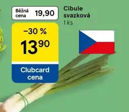 Tesco Cibule svazková nabídka
