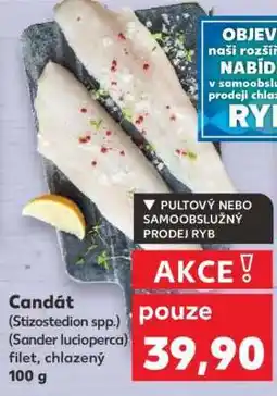 Kaufland Candát filet, chlazený 100 g nabídka
