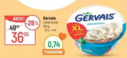 Globus Gervais různé druhy nabídka