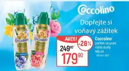 Globus Coccolino nabídka